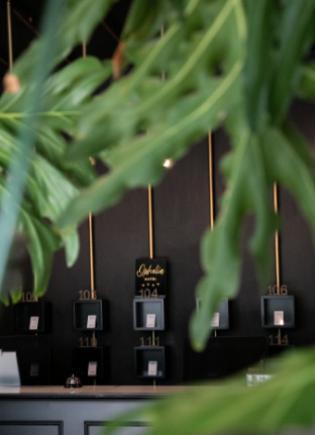 Elegant reception desk with room numbers and lush green plants in the foreground.